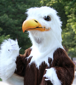 eagle mascot